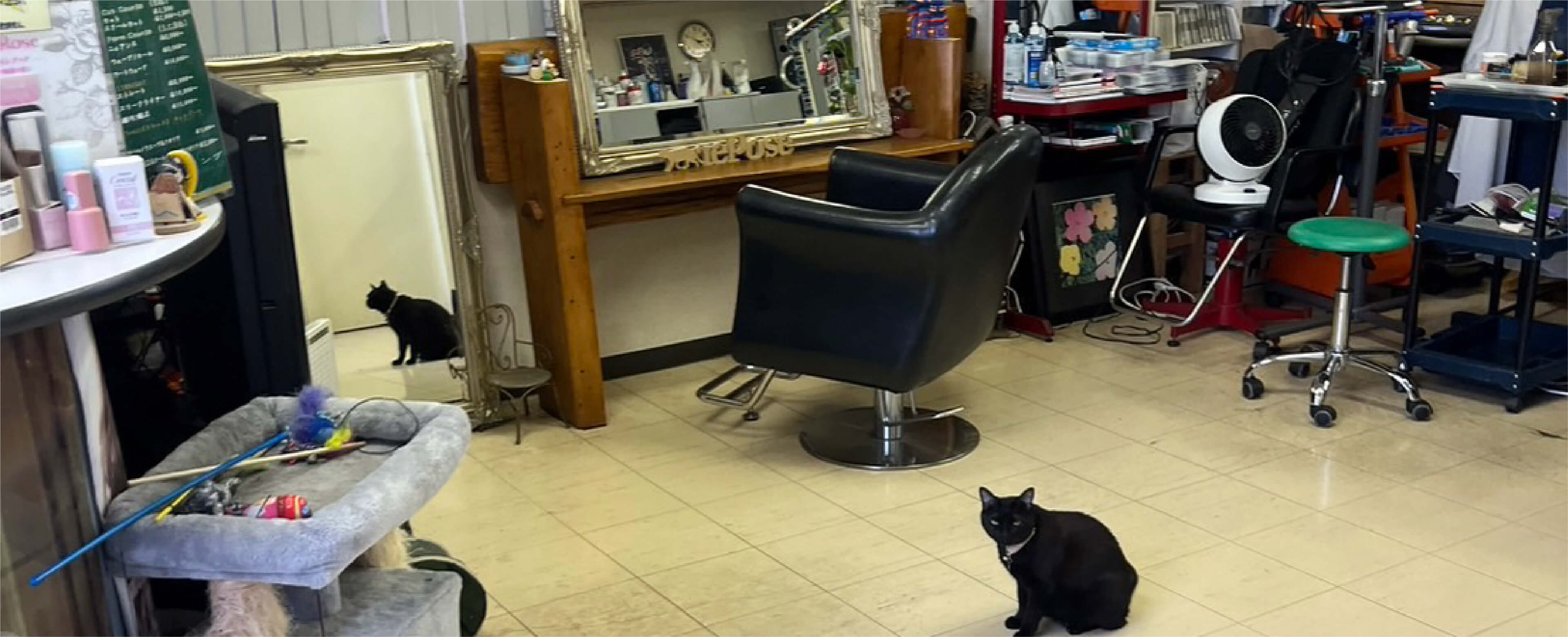 repose店内の写真